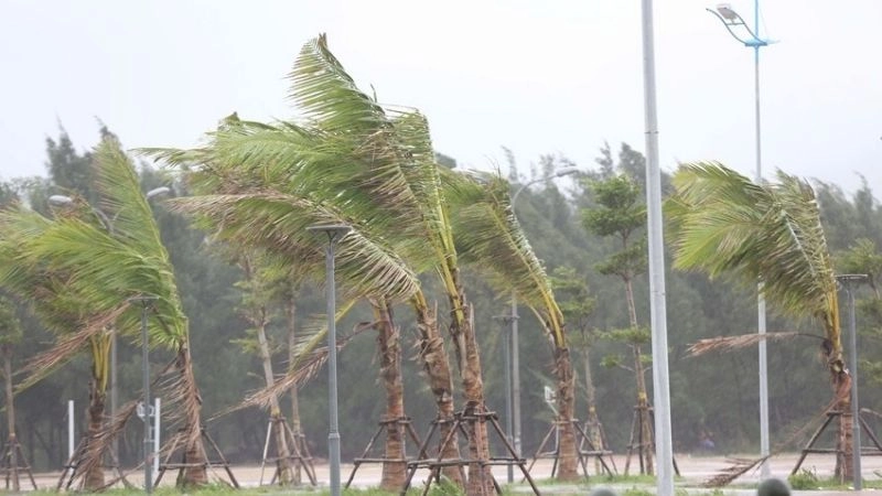 Giông bão thường đi kèm hiện tượng gió giật dữ dội