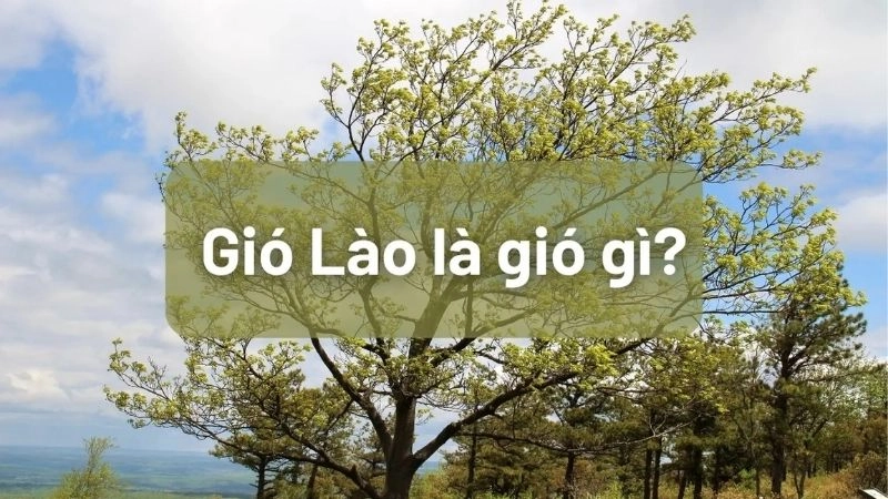 Gió Lào là loại gió khô nóng thổi qua miền Trung Việt Nam