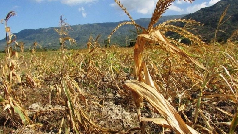 Gió Lào xuất phát từ hướng tây nam trong mùa khô