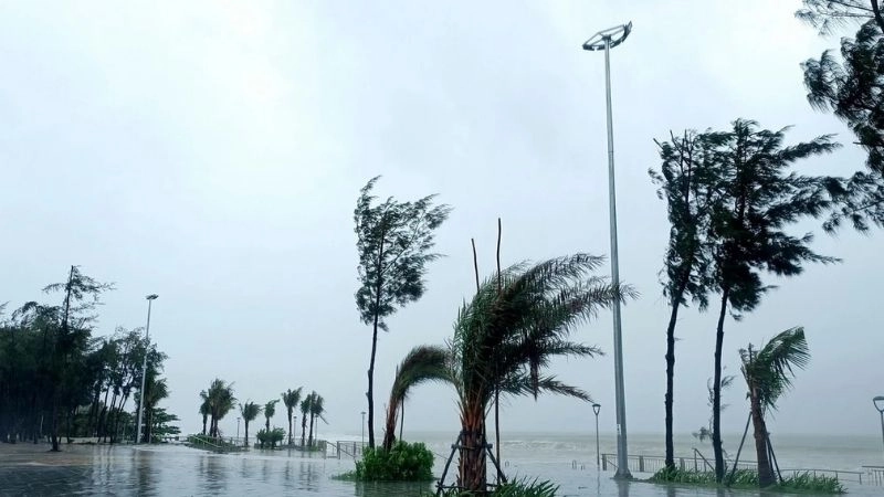 Gió mạnh là hiện tượng không khí di chuyển nhanh bất thường