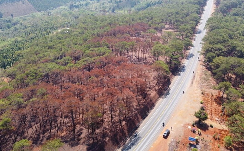 Thời tiết hanh khô là kiểu thời tiết khô ráo, ít ẩm và se lạnh