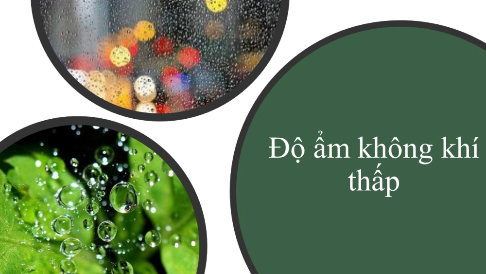 Môi trường độ ẩm thấp là dấu hiệu rõ rệt của thời tiết hanh khô