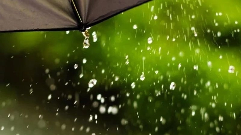 Hạt mưa là các giọt nước rơi xuống từ quá trình giáng thủy