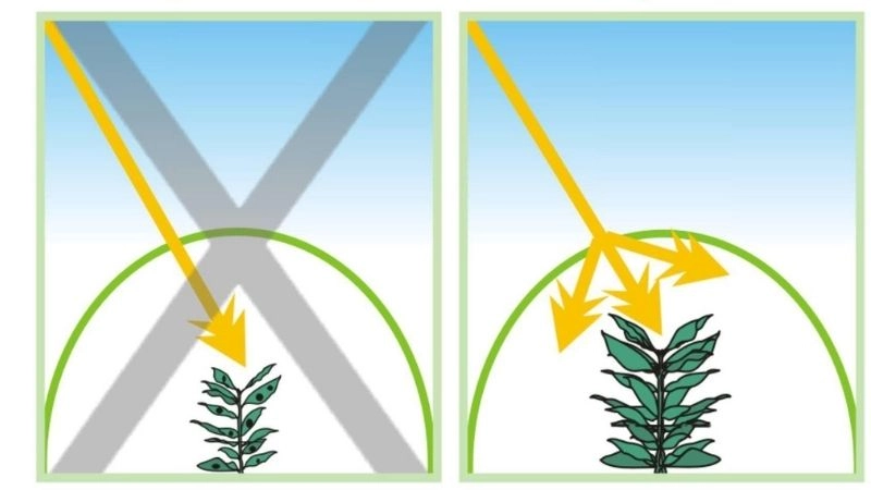 Tán xạ trong không khí góp phần tạo hiện tượng quang học