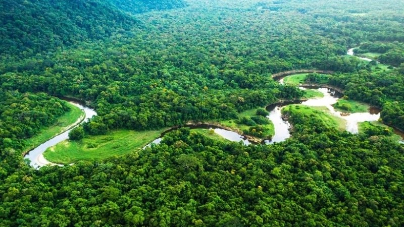 Khí hậu cận nhiệt đới ẩm là kiểu khí hậu nằm giữa vùng nhiệt đới và ôn đới