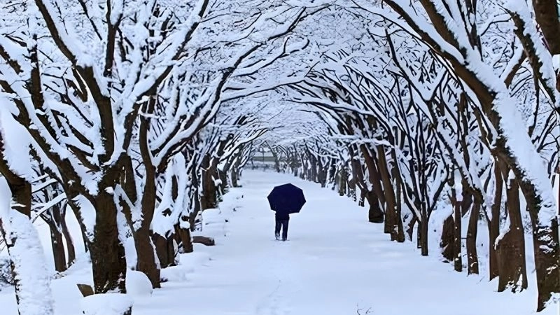 Vùng khí hậu hàn đới trải dài nơi băng tuyết bao phủ