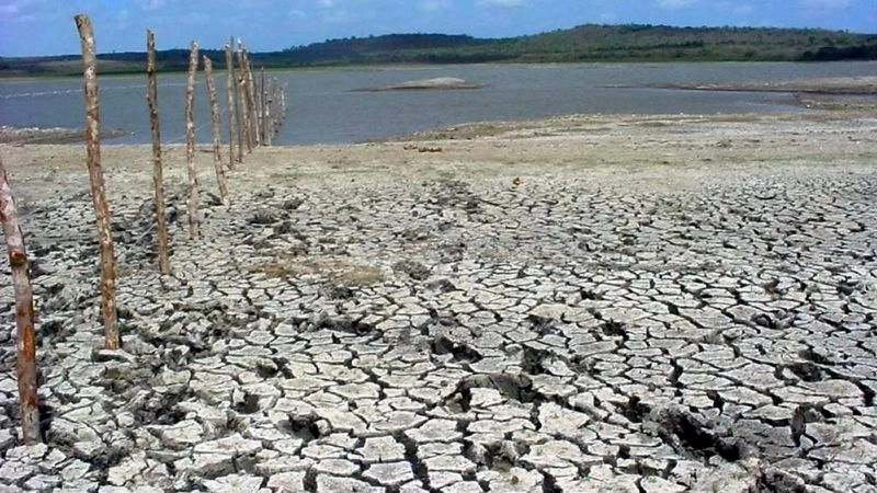 Lượng mưa thấp là yếu tố nhận dạng trong khí hậu lục địa