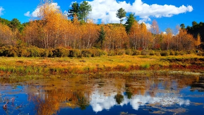 Phân loại ôn đới giúp hiểu từng sắc thái khí hậu ôn đới