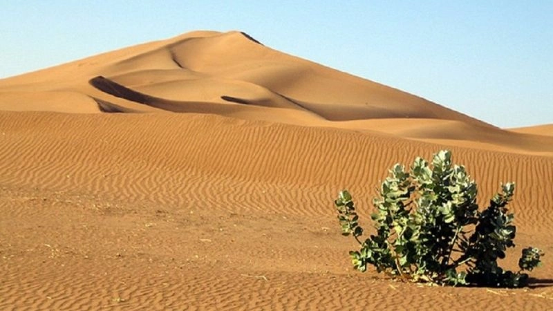 Mưa rất ít tạo nên tình trạng hạn hán trong khí hậu sa mạc