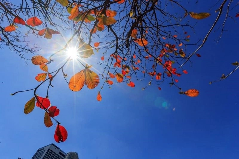 Trời nhiều nắng và ít mây là điều kiện lý tưởng cho sự khô ráo