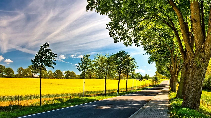 Bầu trời quang đãng báo hiệu một ngày nắng đẹp và không khí khô ráo