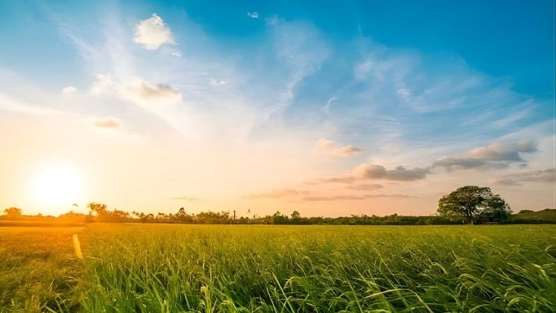 Mặt trời bị biến dạng khi khúc xạ ánh sáng xảy ra mạnh