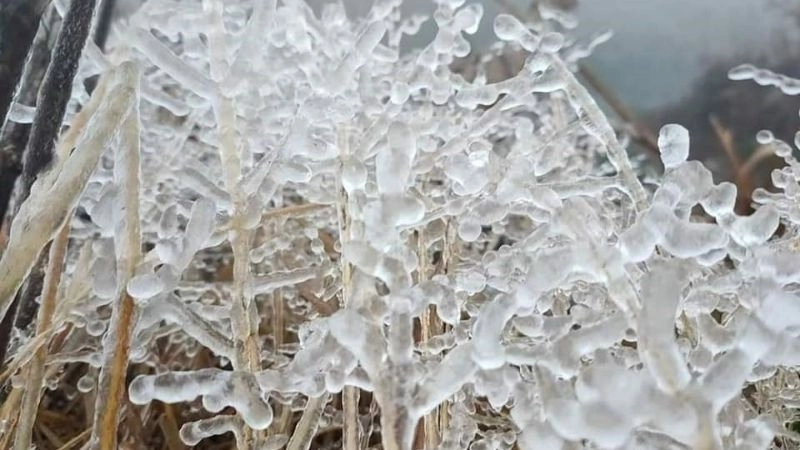 Băng giá xuất hiện khi mức độ lạnh đạt ngưỡng cực đoan