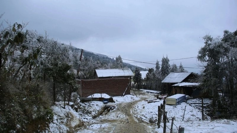 Mùa đông mang theo cảm giác lạnh bao trùm khắp không gian