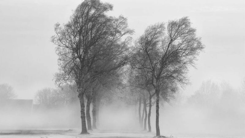 Gió lạnh tăng cường làm cơ thể cảm nhận lạnh rõ rệt hơn