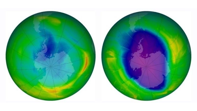 Lỗ thủng ozon là gì được hiểu qua suy giảm tầng ôzôn