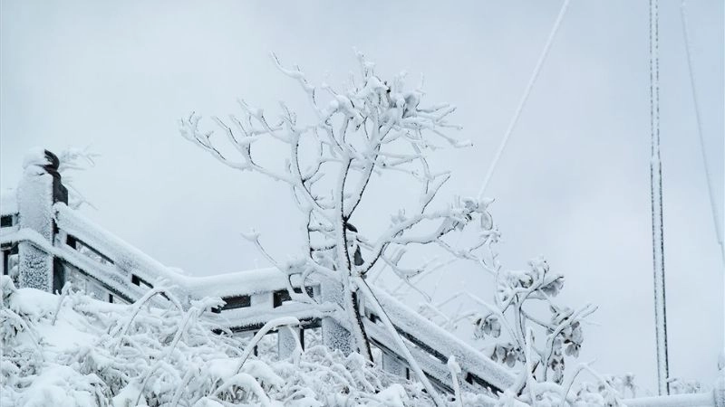 Độ dày của lớp tuyết phủ ảnh hưởng đến an toàn di chuyển