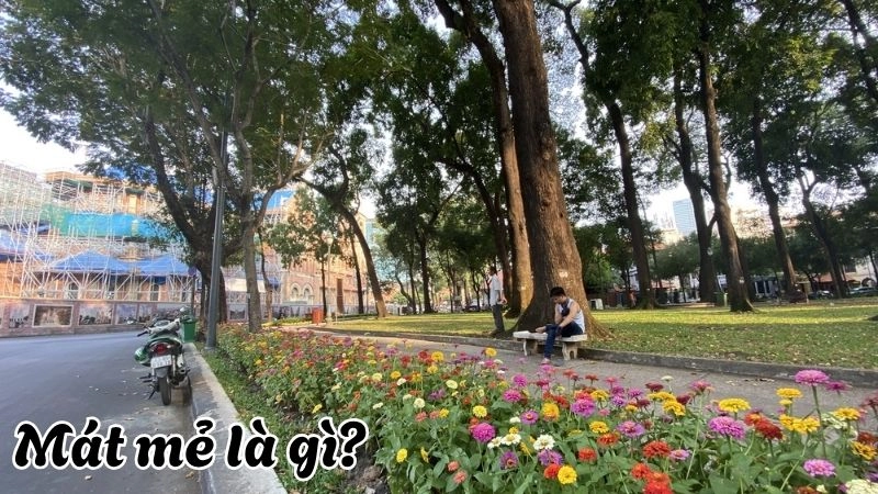 Mát mẻ là trạng thái thời tiết dễ chịu, không oi bức