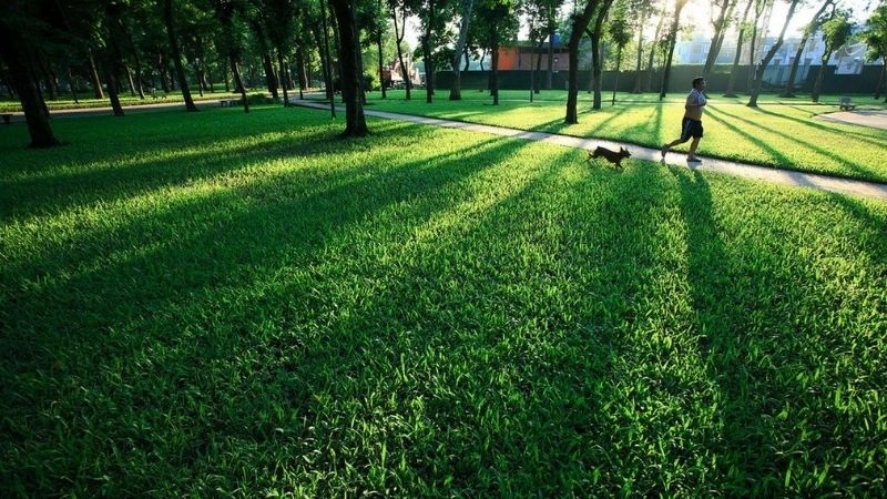 Không khí trong lành góp phần duy trì tiết trời mát mẻ