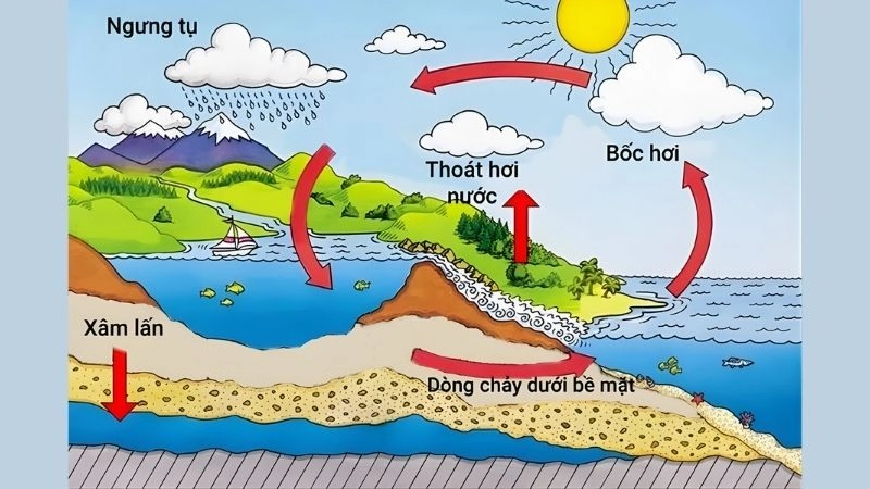 Quá trình ngưng tụ mây tạo nên sự sống của hạt mây