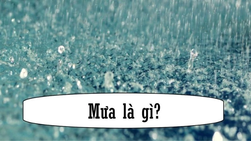 Mưa là hiện tượng nước ngưng tụ rồi rơi từ khí quyển xuống Trái Đất