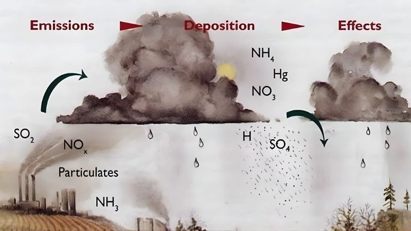 Các chất hóa học độc hại góp phần tạo nên mưa axit