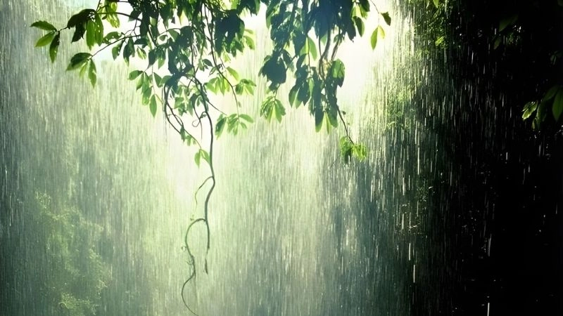 Mưa bất chợt xảy ra dù trời vẫn có nắng