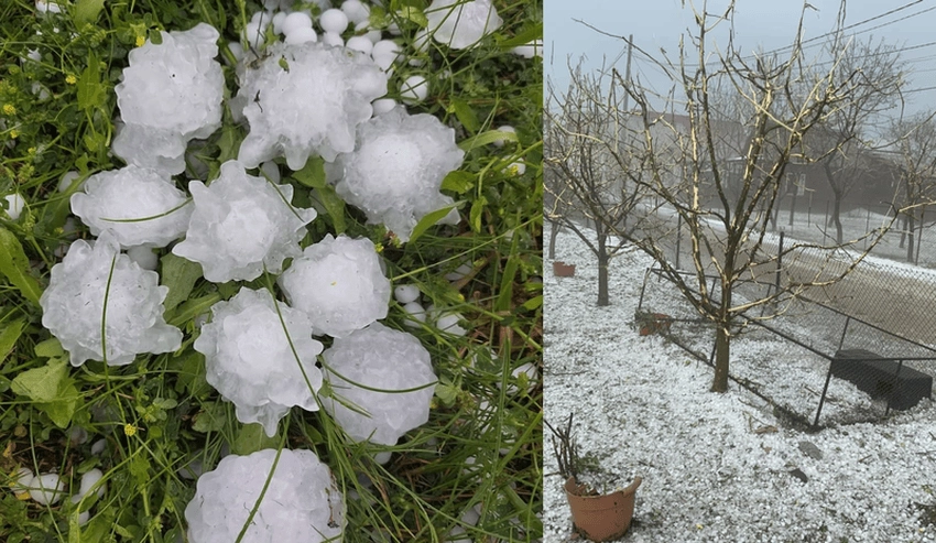 Cảnh báo thiệt hại về tài sản do mưa đá là cần thiết cho nông nghiệp