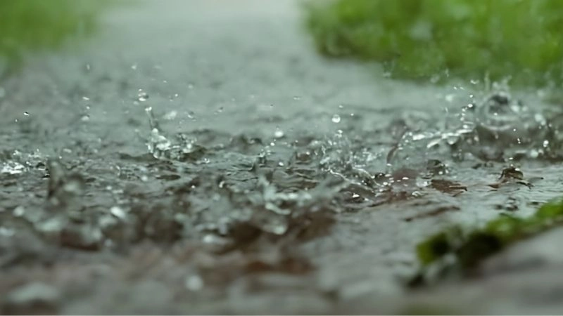 Khô hạn kết thúc khi mưa đầu mùa xuất hiện đúng lúc