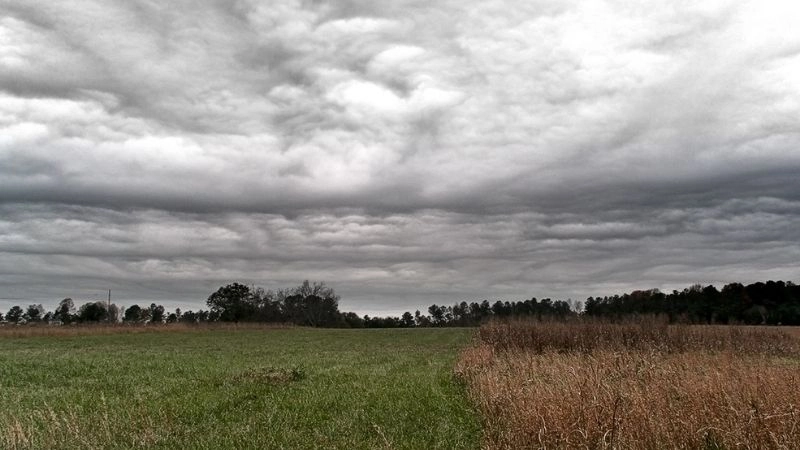 Tổng lượng mưa trong đợt mưa diện rộng thường khá cao