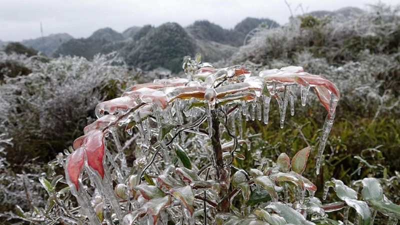 Mưa siêu lạnh là tiền đề hình thành mưa đóng băng nguy hiểm