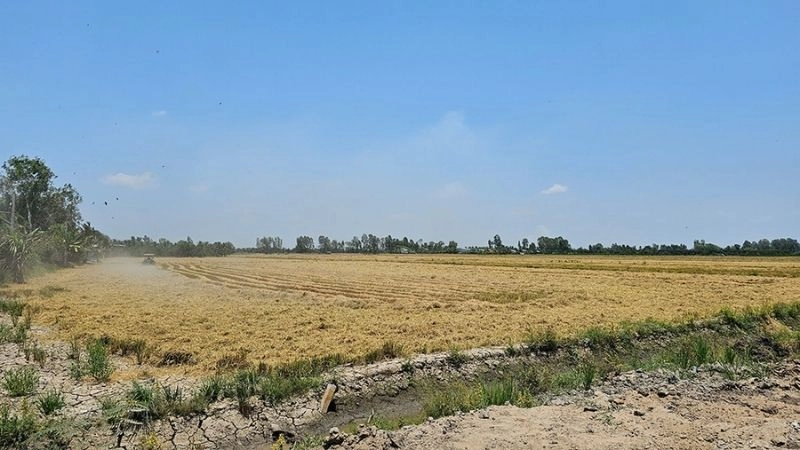 Khô hạn xuất hiện khi mùa khô kéo dài quá lâu