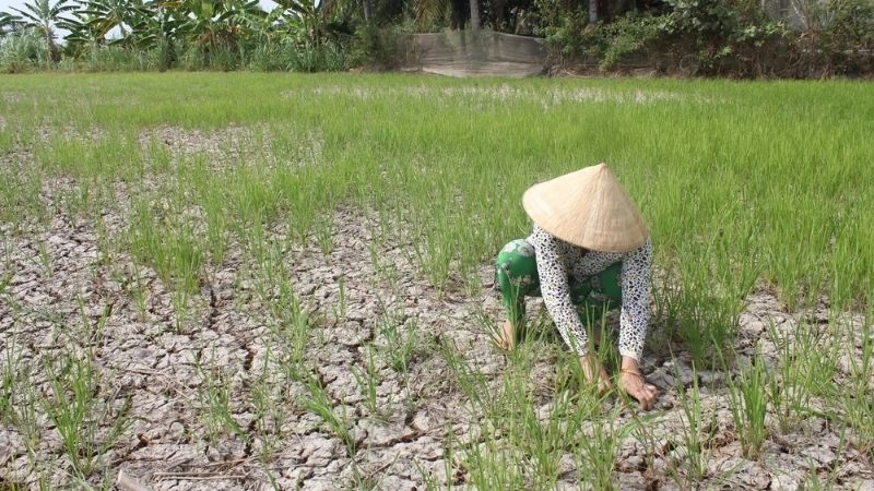 Gió mùa đông bắc thường chi phối thời tiết mùa khô