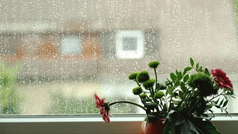 Độ ẩm không khí tăng cao rõ rệt trong thời điểm mùa mưa