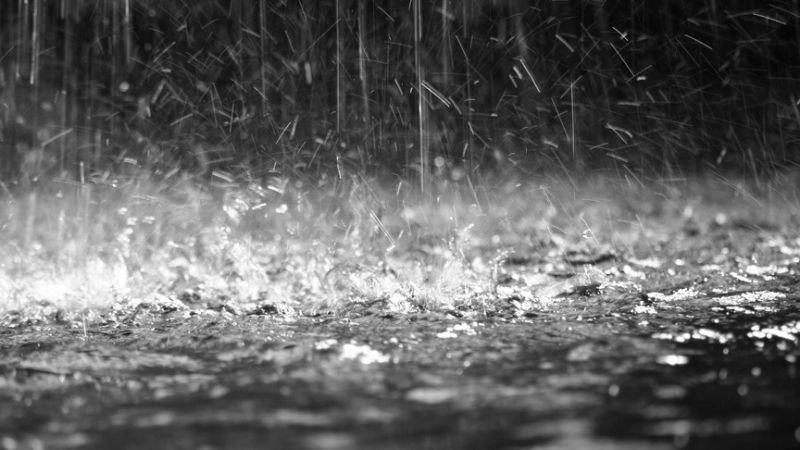 Giọt mưa lớn rơi dồn dập trong cơn mưa như trút nước