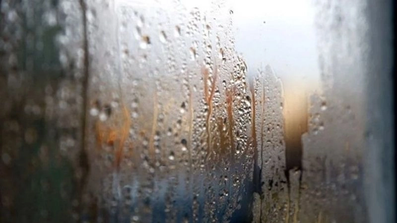 Độ ẩm không khí cao trong giai đoạn mưa rả rích