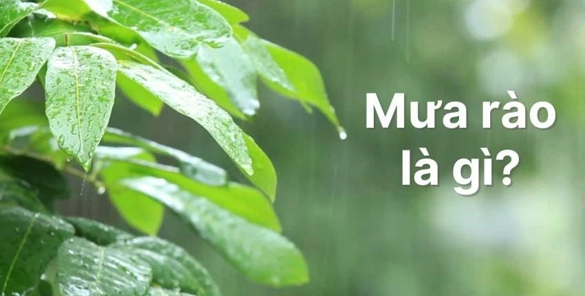 Mưa rào là cơn mưa xuất hiện bất chợt, ngắn và thường kèm sấm chớp