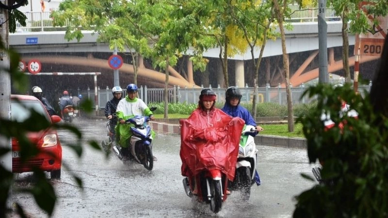 Sương mù dày đặc hơn dưới tác động của mưa sáng