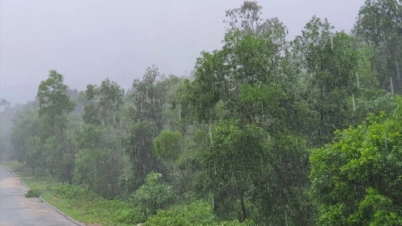 Mưa xối xả là hiện tượng mưa lớn dồn dập trong thời gian ngắn