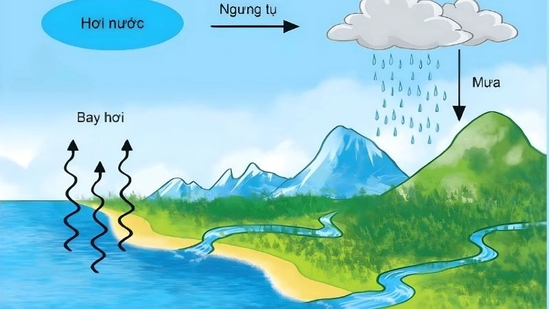 Chu trình nước quyết định sự hình thành của nước mưa