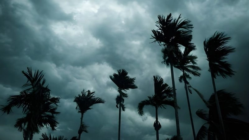 Hơi nước bốc lên cao rồi biến đổi thành nước mưa