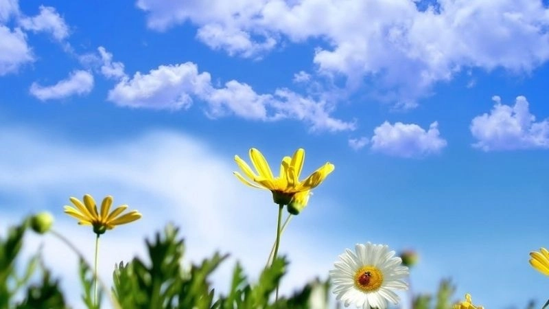 Thời tiết nắng đẹp thường được mô tả là ngày quang đãng hoàn hảo