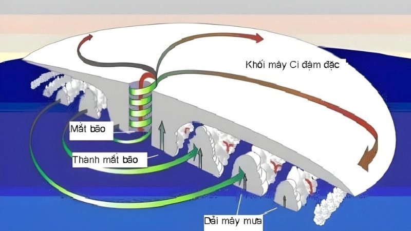 Hình thành hoàn lưu khí quyển tạo nên quỹ đạo bão