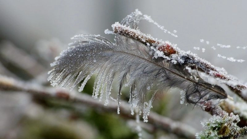 Băng giá bao phủ mặt đất khi thời tiết rét kéo dài