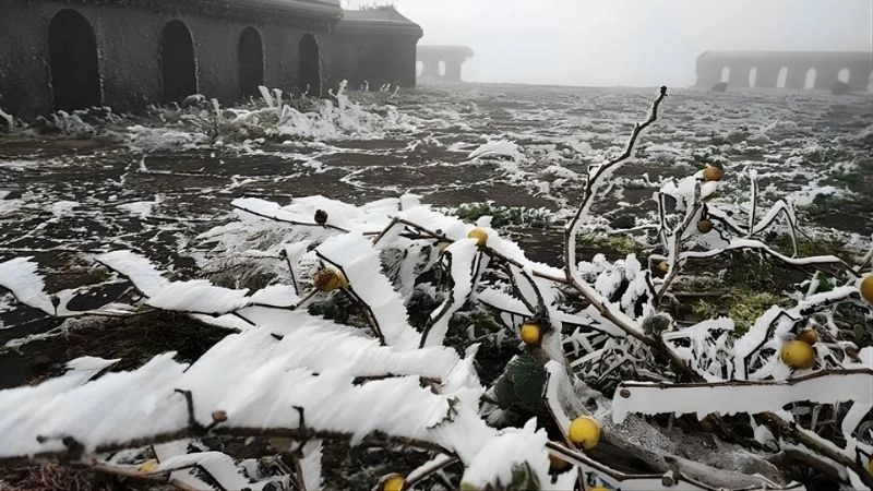 Rét hại thường xuất hiện khi trời rét căm căm cực độ