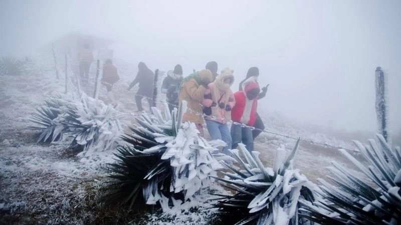 Băng giá hình thành khi rét hại đạt mức cực đoan