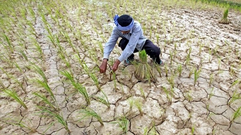 Khô cằn hóa là biểu hiện rõ rệt của sa mạc hóa nghiêm trọng