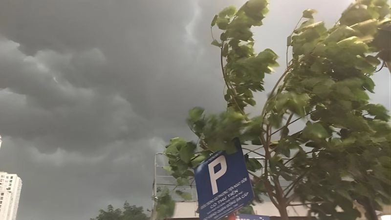 Gió đổi hướng nhanh có thể cho thấy trời sắp mưa