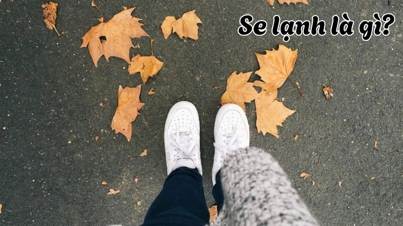 Se lạnh là cảm giác mát xen chút rét khi nhiệt độ hạ thấp