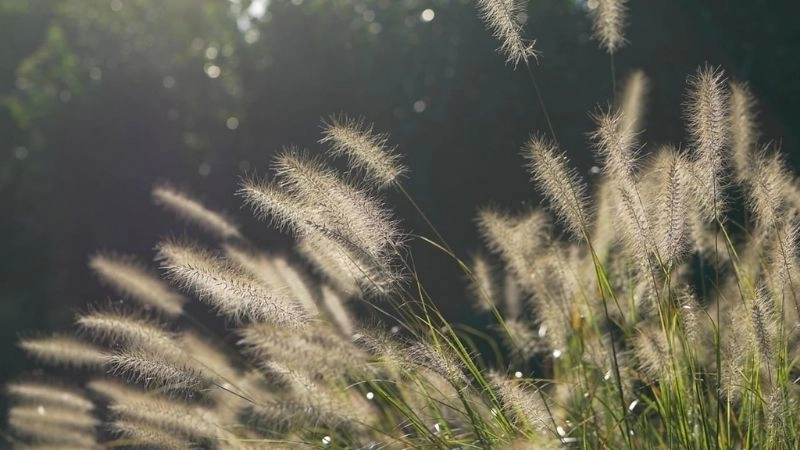 Gió thổi nhẹ mang theo hơi se lạnh vào bầu không khí